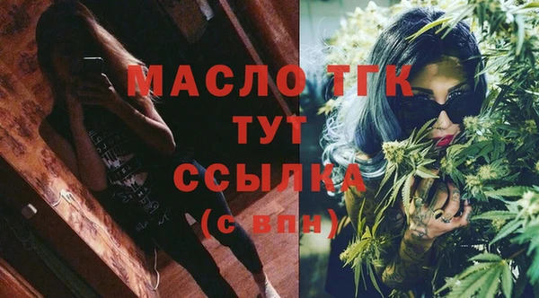 хмурый Арсеньев