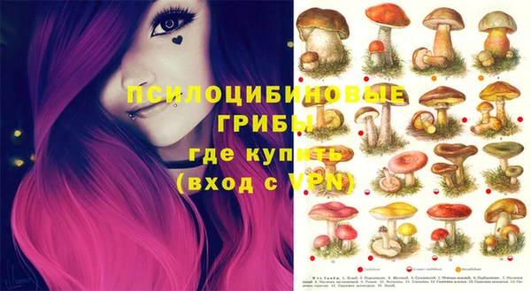гашик Алзамай