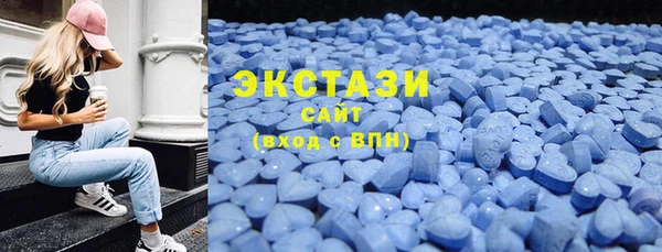 хмурый Арсеньев