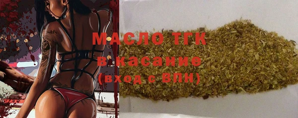 хмурый Арсеньев