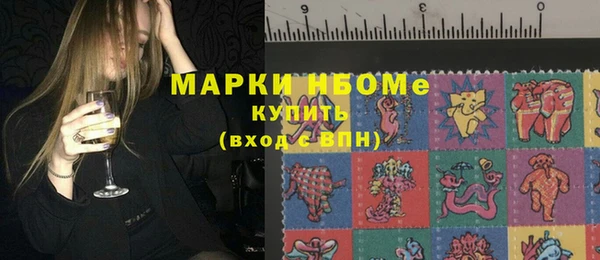 хмурый Арсеньев