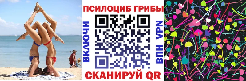 Галлюциногенные грибы Psilocybe  Кологрив 